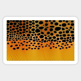 Trout Camo Texture Sticker